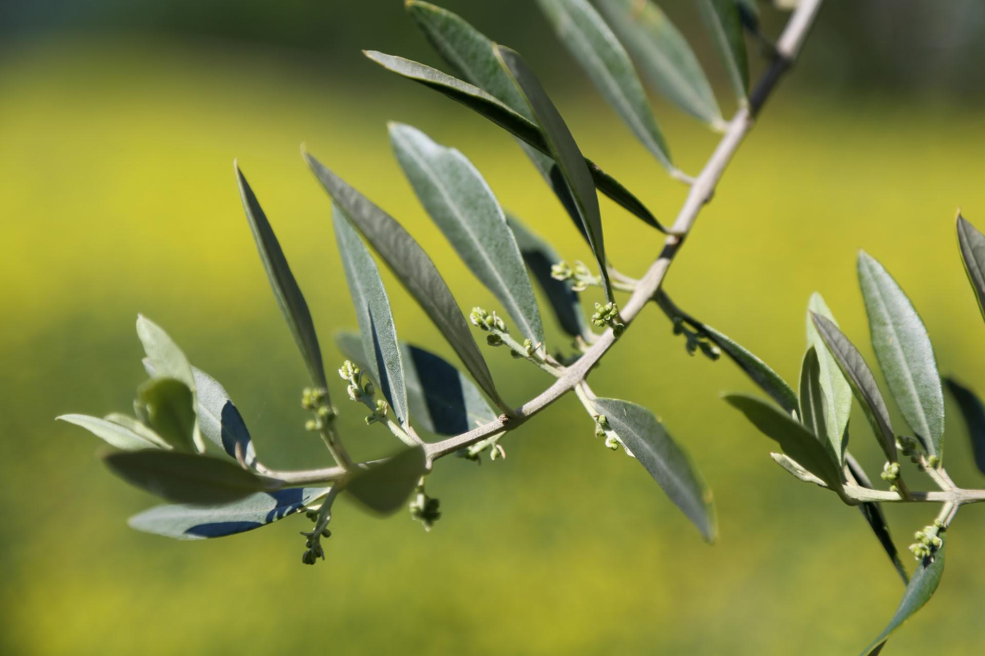 Retraite Détox Cortisol