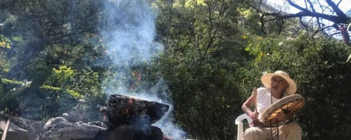 8 jours Retraite Ayahuasca + San Pedro Équateur | Retraite de médecine des plantes