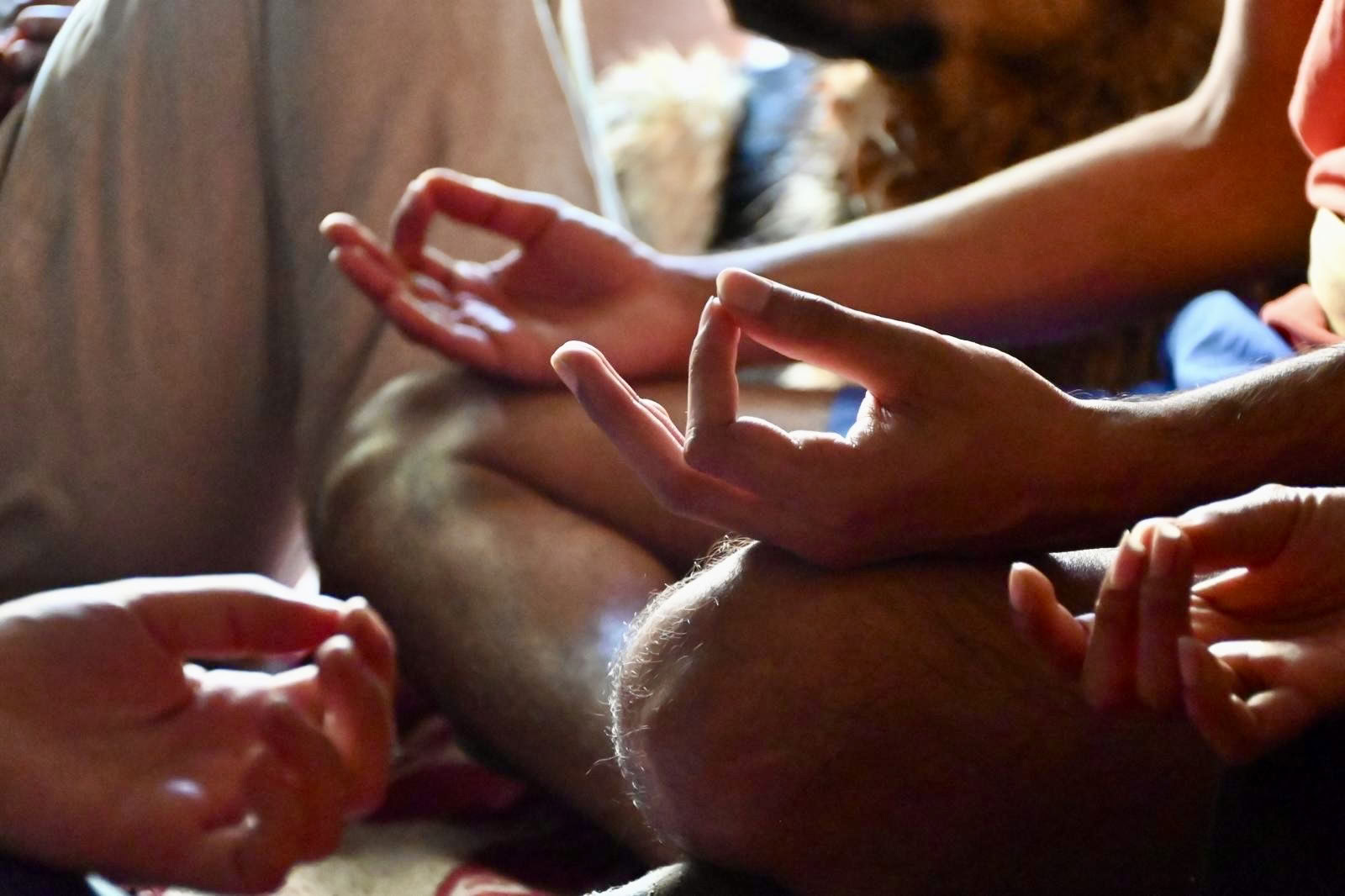 SHUNYATA : programme d’éveil silencieux de 11 jours.