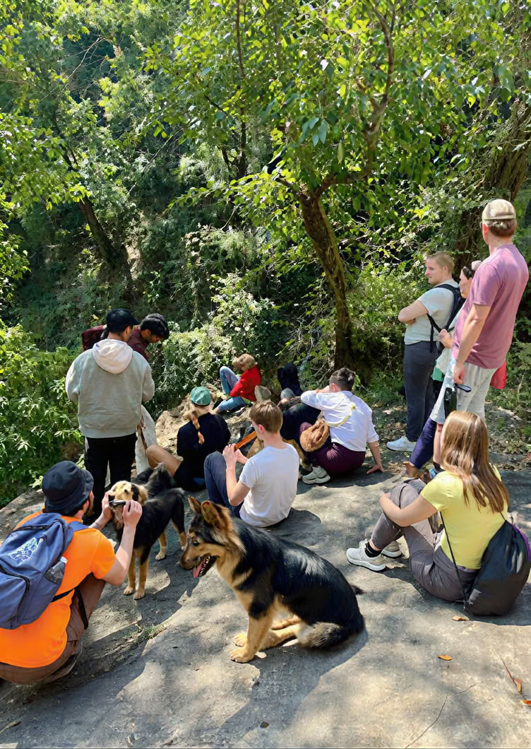 Vipasana à Rishikesh : programme d’éveil silencieux de 11 jours.