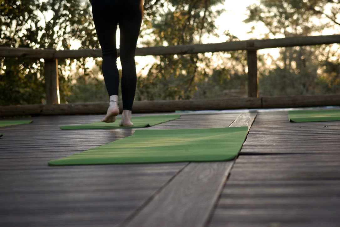 Yoga Avec Les Éléphants