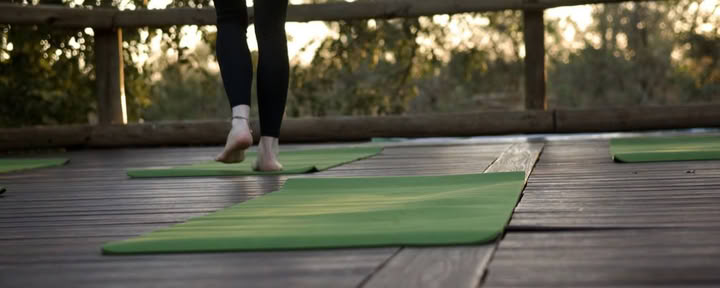 Yoga Avec Les Éléphants