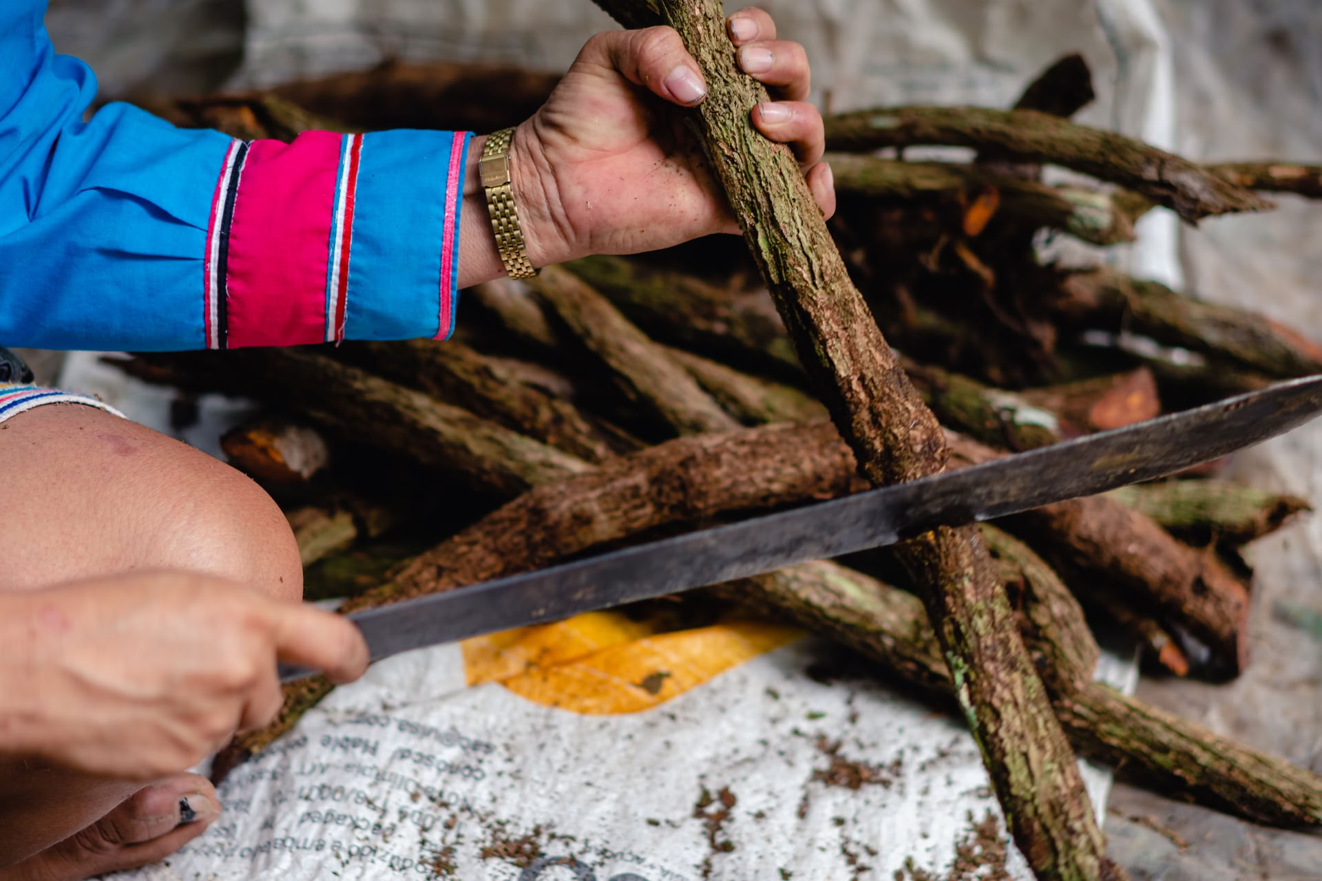 Retraite Inner Vision à l’Ayahuasca Juillet 2026 (8 jours)
