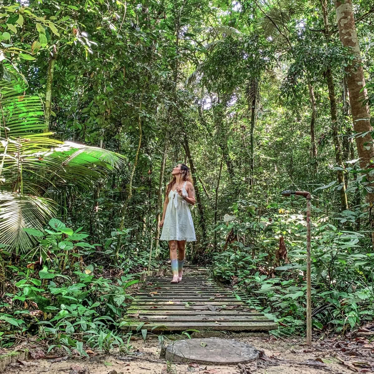 Retraite de renouveau Ayahuasca août 2026 (12 jours)