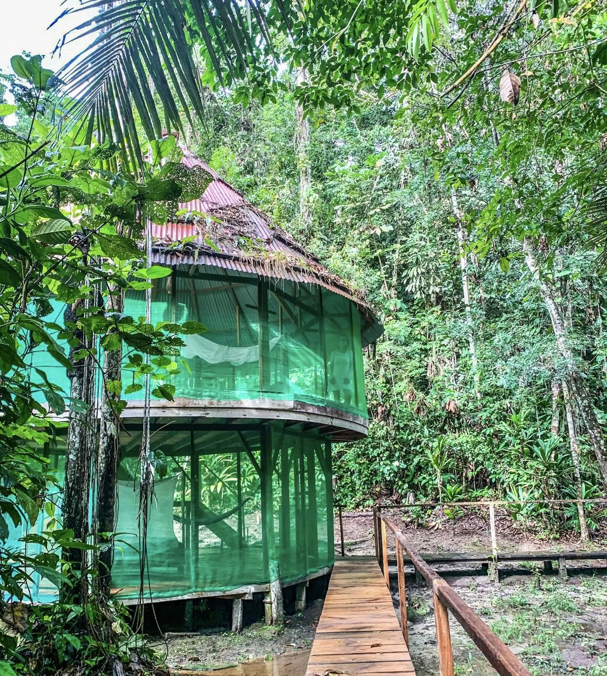 Retraite de renouveau Ayahuasca août 2026 (12 jours)