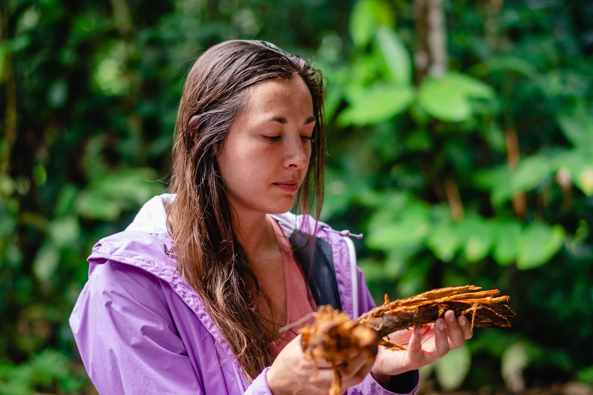 Retraite de renouveau Ayahuasca août 2026 (12 jours)