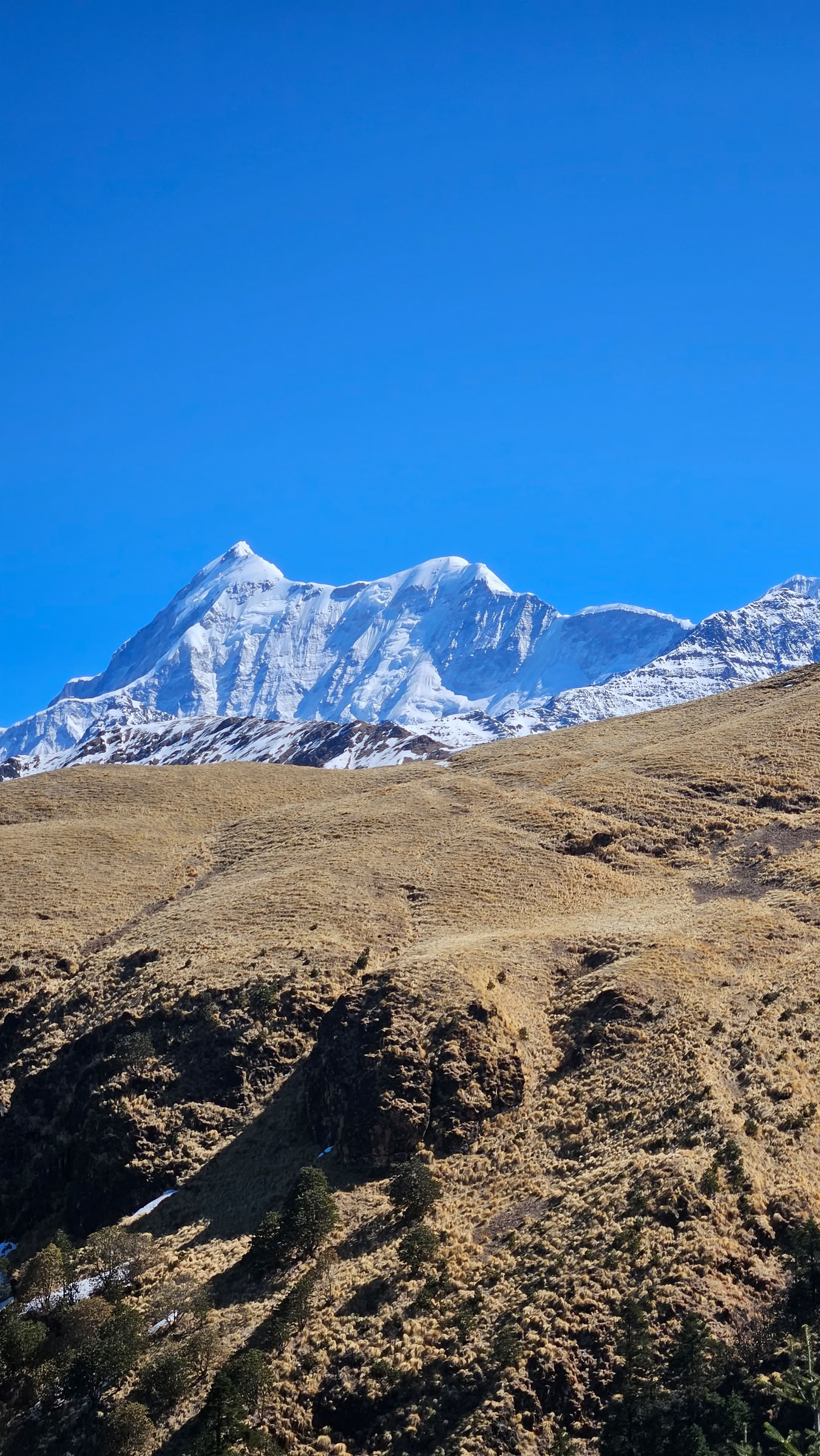Trek de Bedni Bugyal – du 9 au 13 juillet 2026