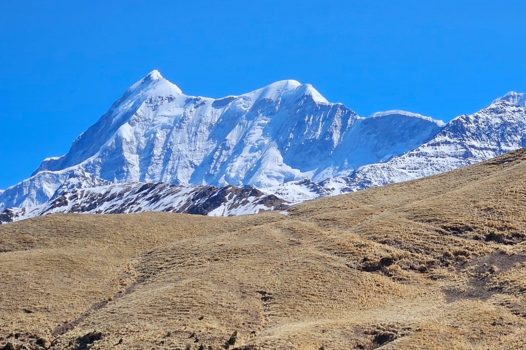 Trek de Bedni Bugyal – du 9 au 13 juillet 2026