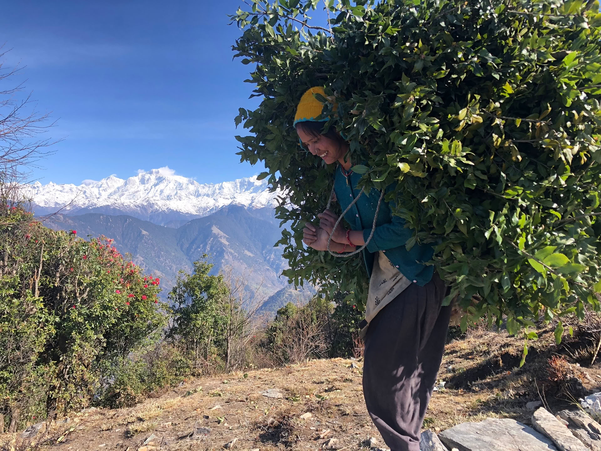 trek de Chopta Tungnath