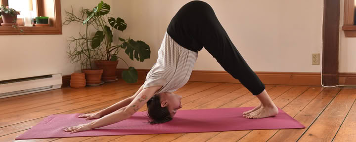 Yoga Hatha traditionnel (8h30 - 9h30)