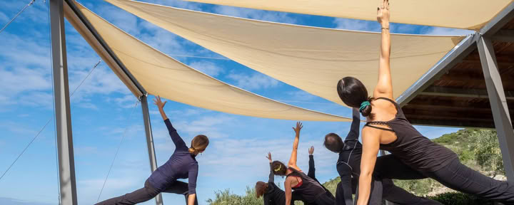 100 heures de formation des enseignants : Abhaya Yoga TT
