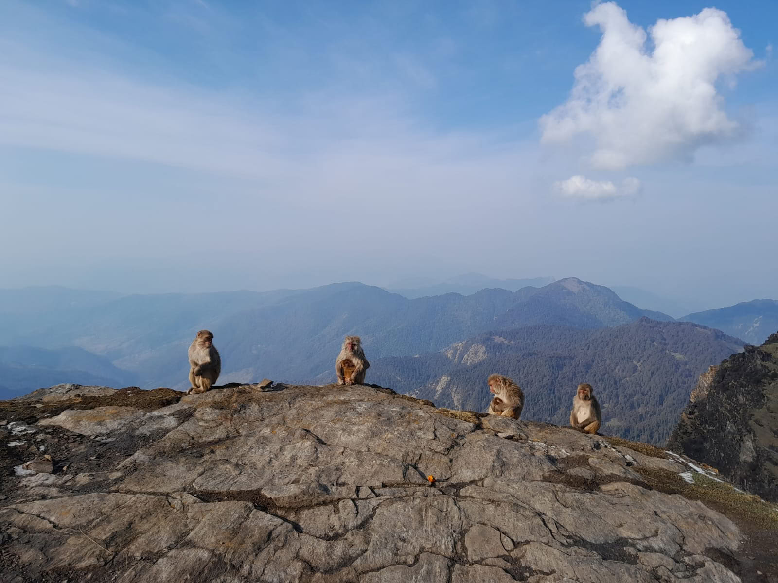 Trek de Chopta-Tungnath