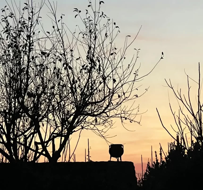 Retraite d’une journée pour la ménopause