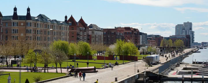 Yoga dans le parc : Islands Brygge