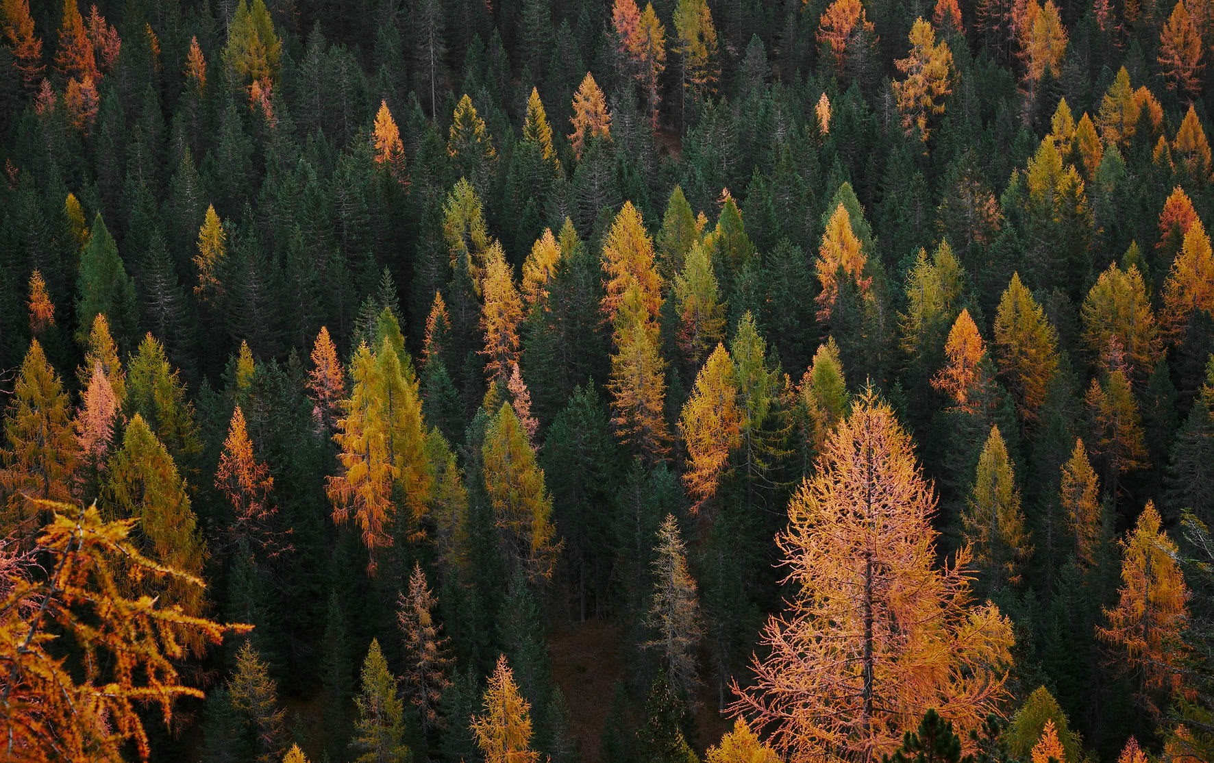 Retraite Terre