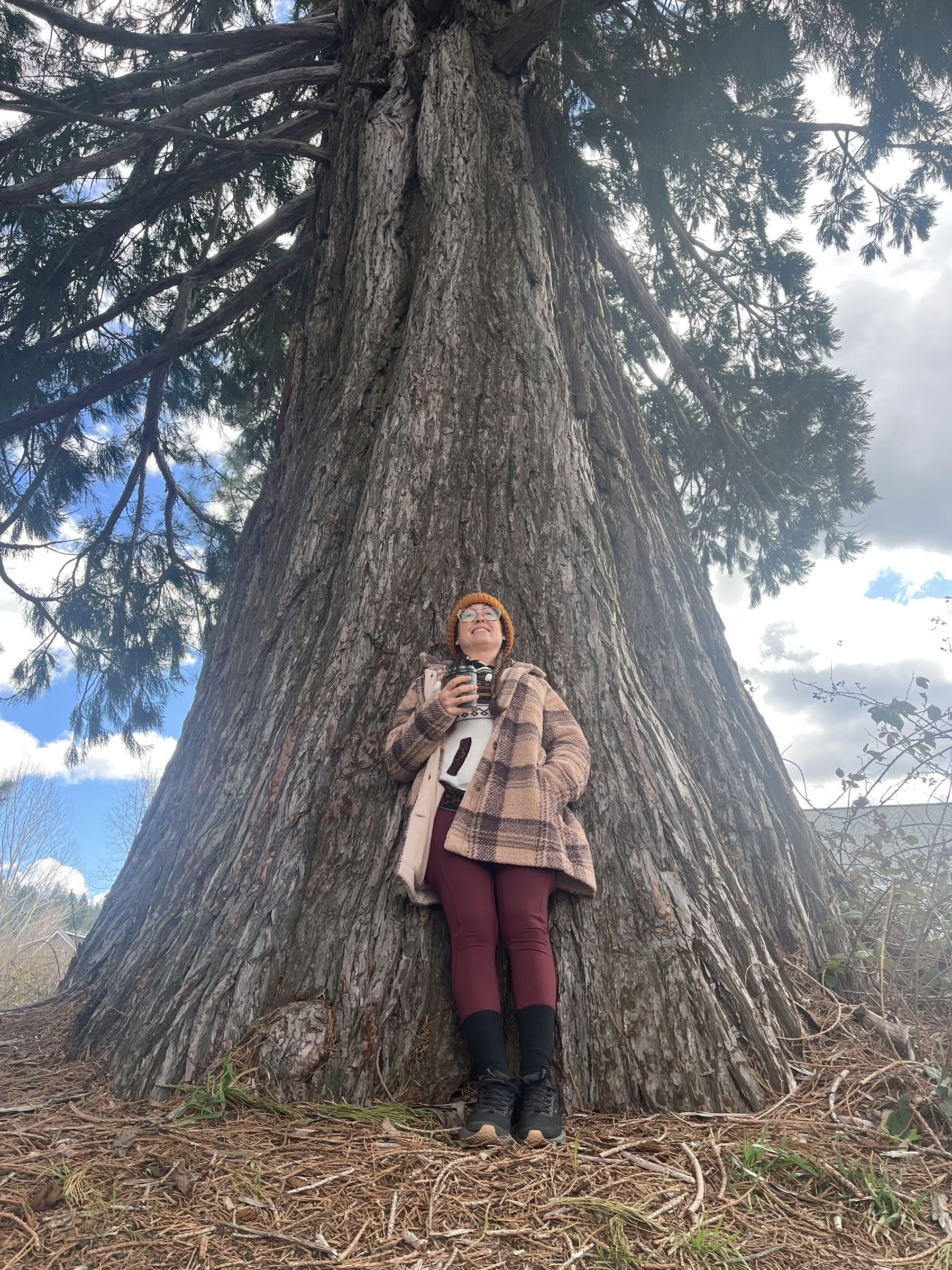 Retraite Deep Inner Peace : Mt. Shasta, CA
