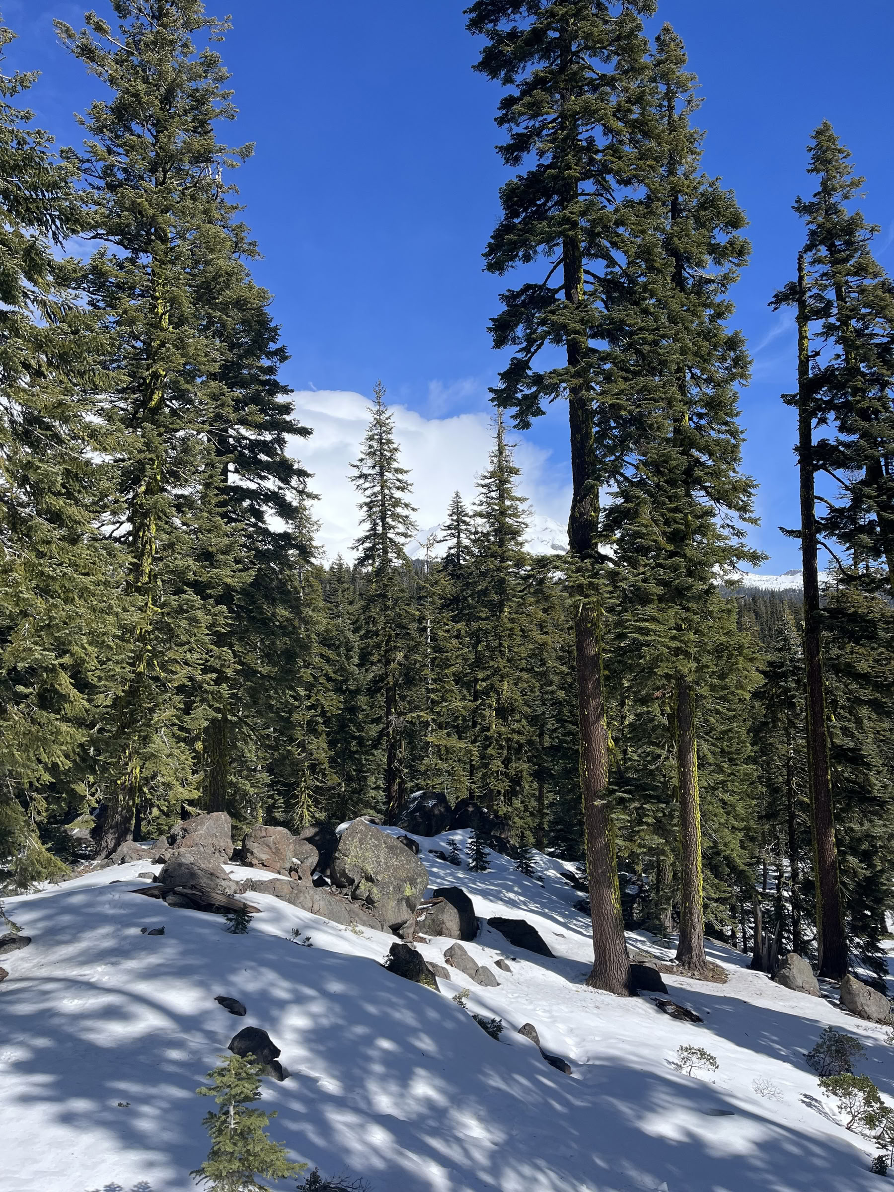 Retraite Deep Inner Peace : Mt. Shasta, CA