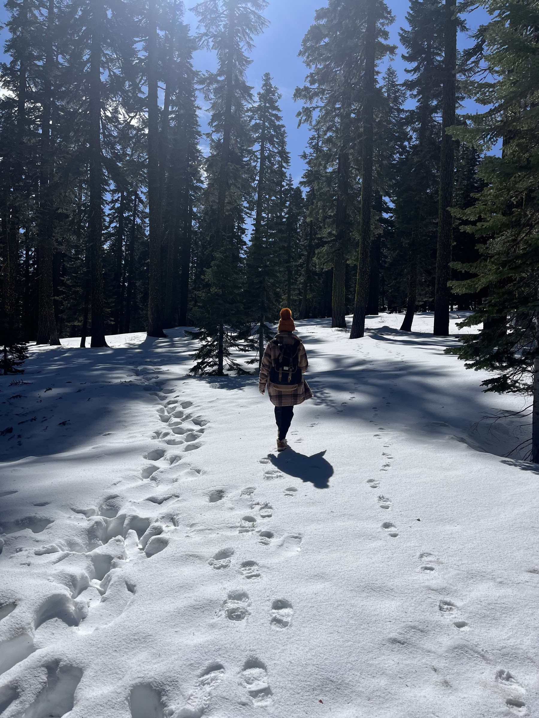 Retraite Deep Inner Peace : Mt. Shasta, CA