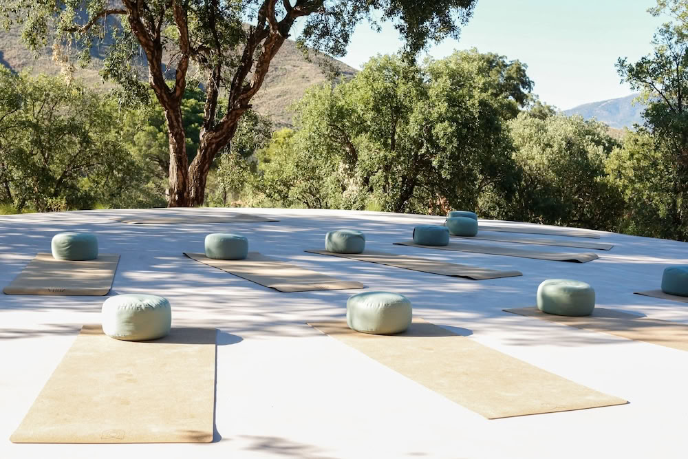 THE LUMINOUS SELF - RETRAITE DE YOGA