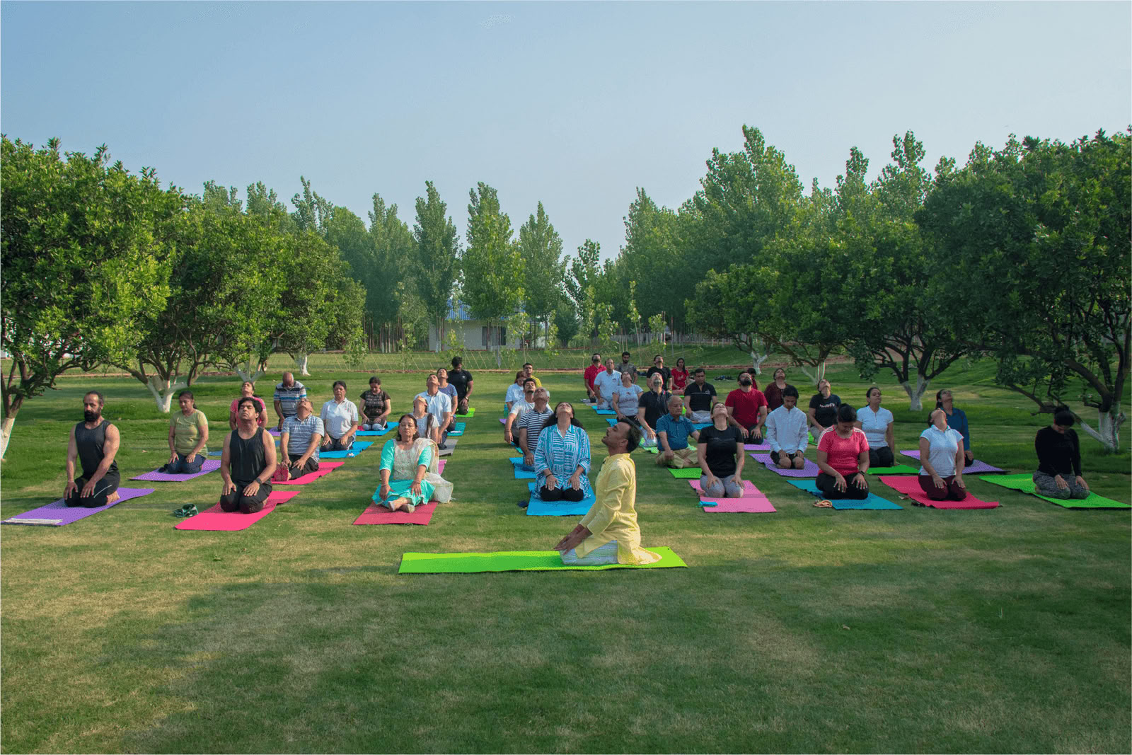 Yog-Vipassana retraite en juillet 2026