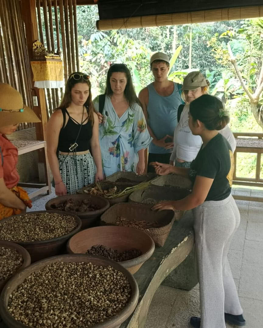 Plantation de café