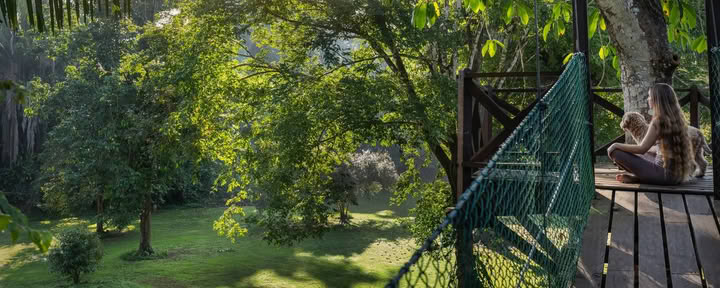 Retraite bien-être en forêt tropicale