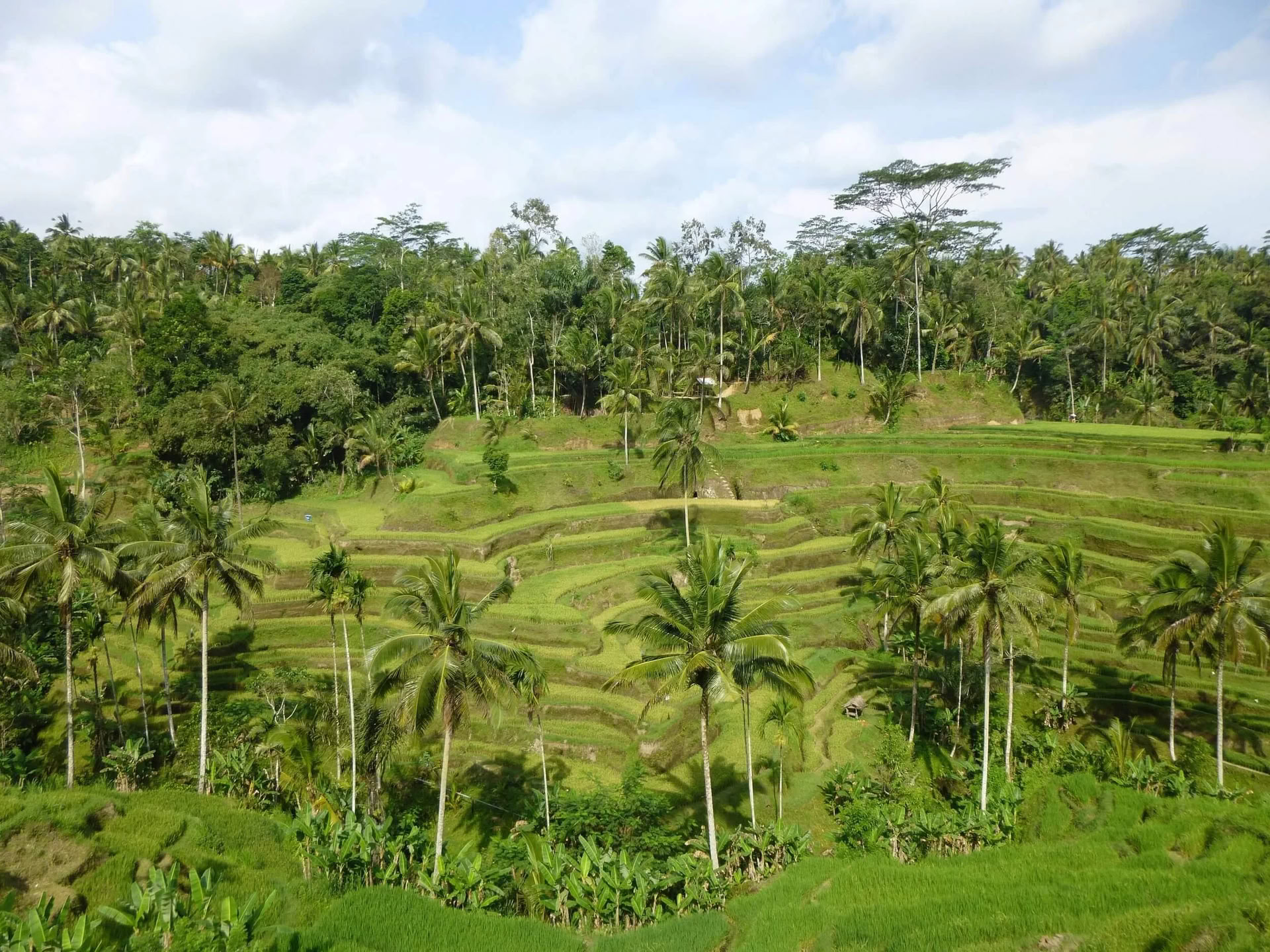 Me-Time. My Way. Retraite bien-être à Bali