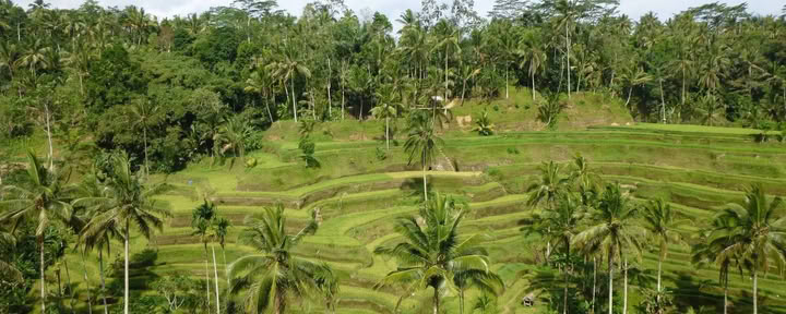 Me-Time. My Way. Retraite bien-être à Bali