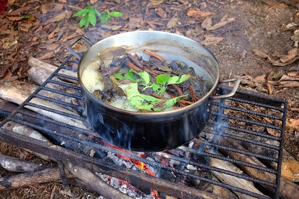 5 jours Retraite Ayahuasca Iquitos-Peru