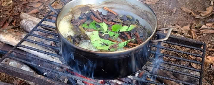 12 jours Retraite Ayahuasca Pérou à Selva Madre