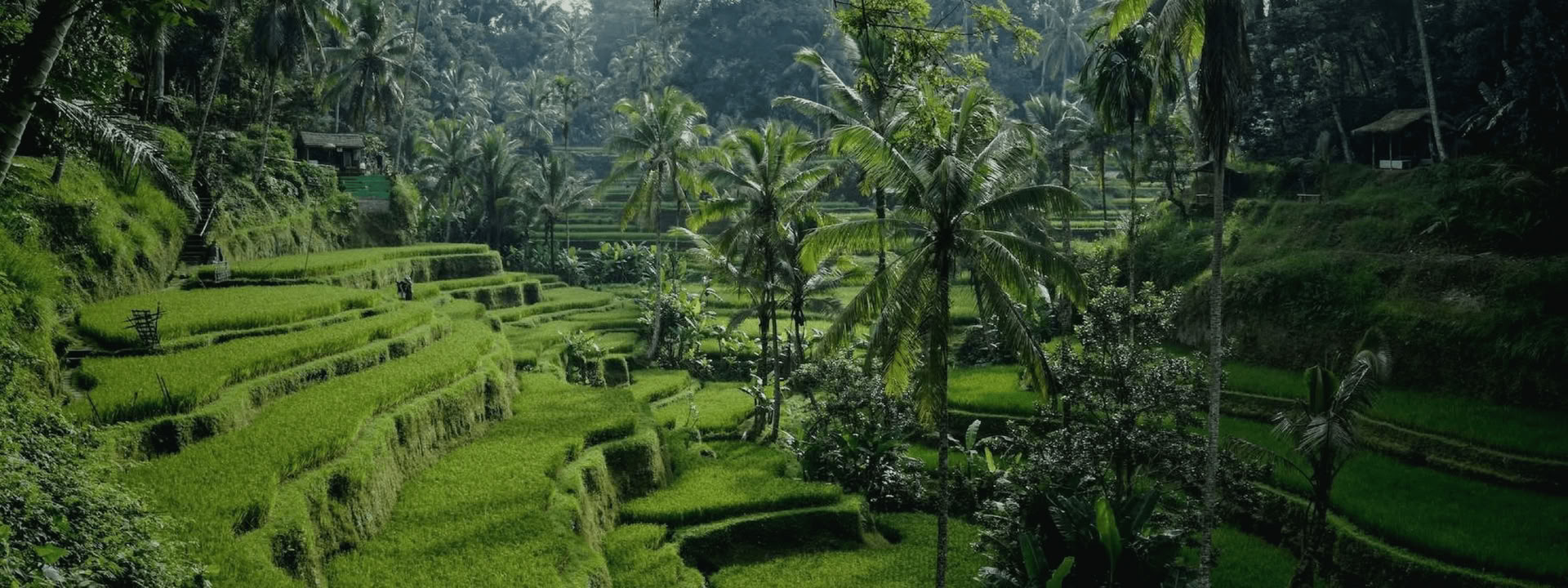 Bali Bound : voyage vers la paix intérieure