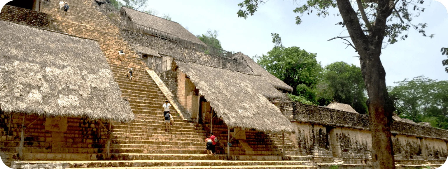Connexion ancestrale