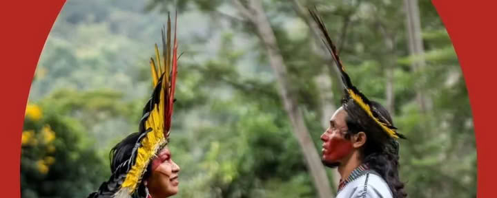 Yawanawa Tribal Journey Août-Sept 2026, Brésil — ZiruYai
