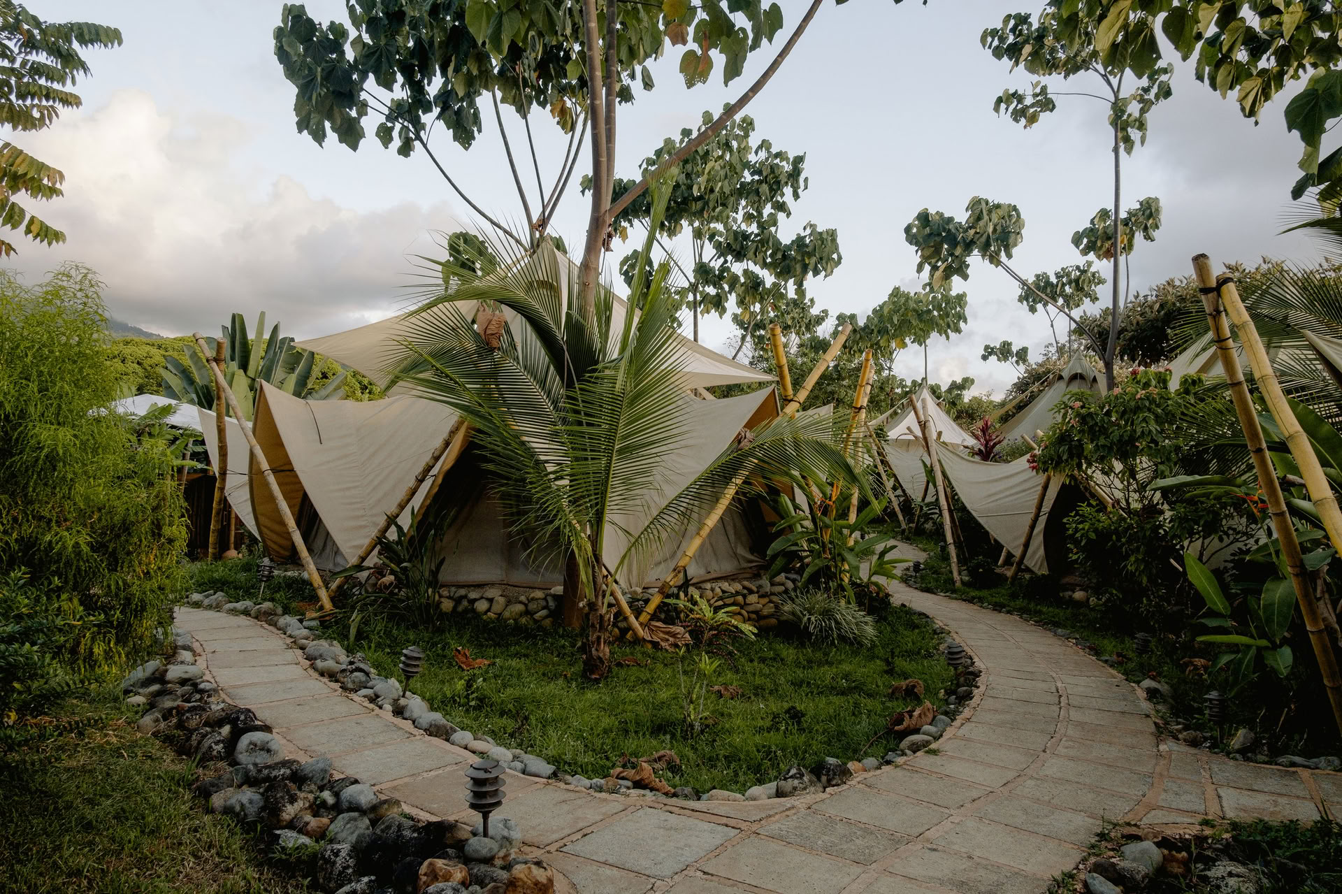 Unplugged Travels : Réinitialisation de groupe - Janvier 2027 — HOLOS