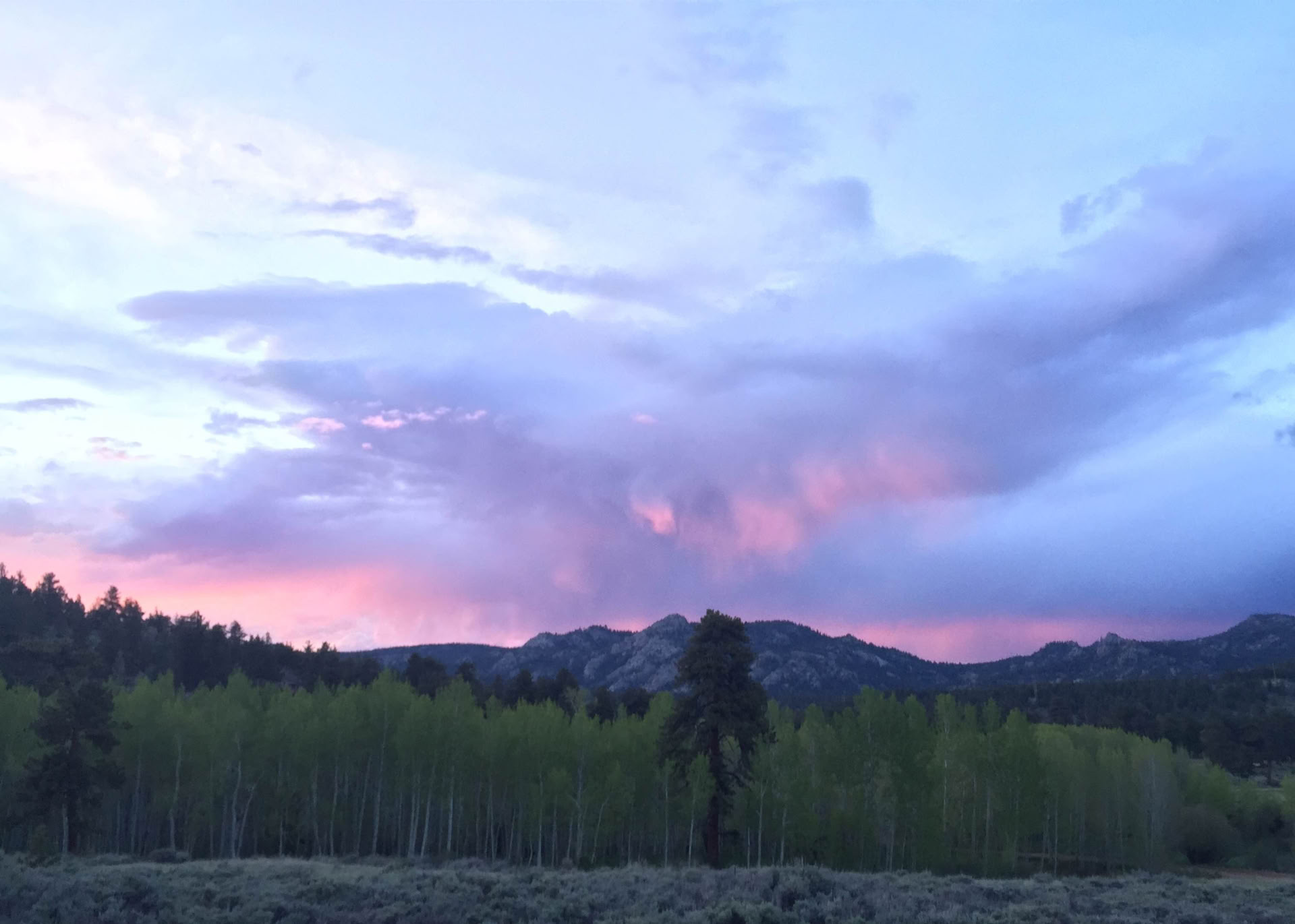 Healing with Nature : Une retraite du solstice d’hiver