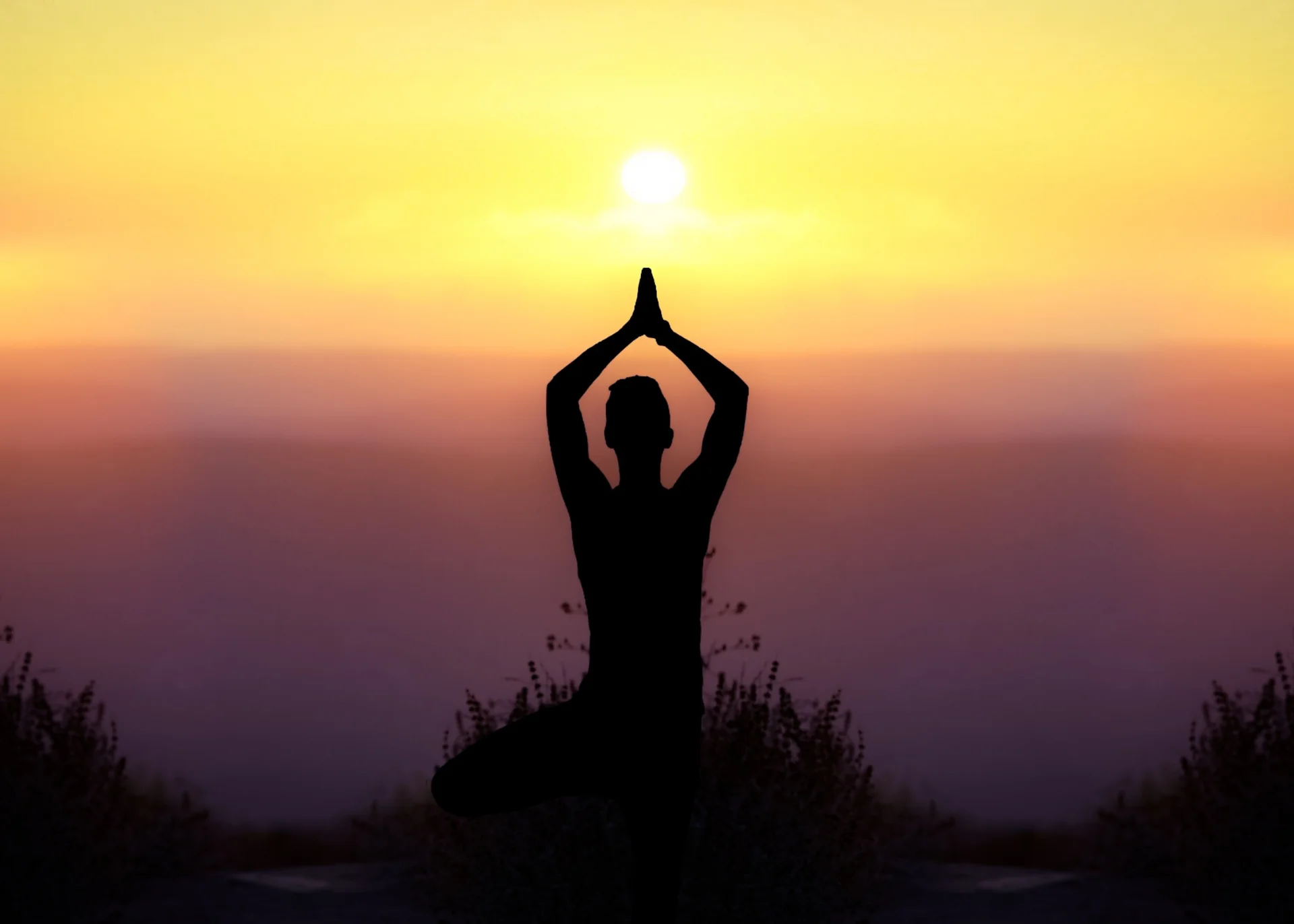 Sagesse ancienne pour l'épuisement moderne : outils de yoga et ayurvédiques pour l'équilibre