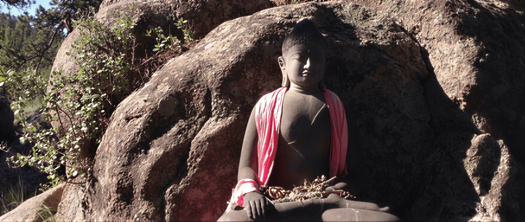 Proclamer la santé mentale de base : vivre la voie du bodhisattva