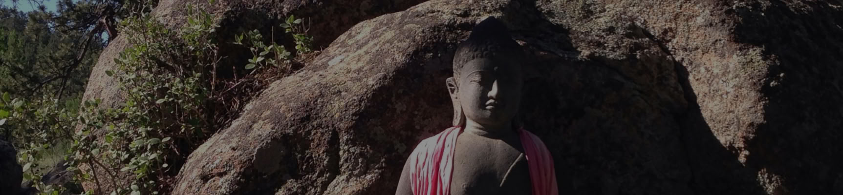 Proclamer la santé mentale de base : vivre la voie du bodhisattva