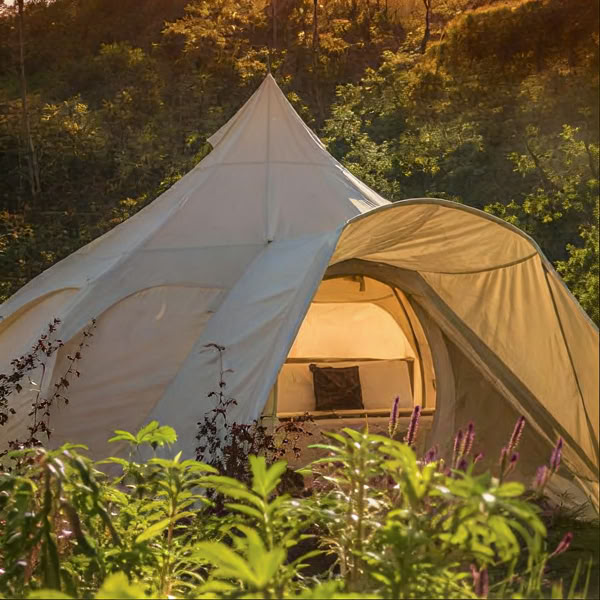 Retraite intime à l’ayahuasca