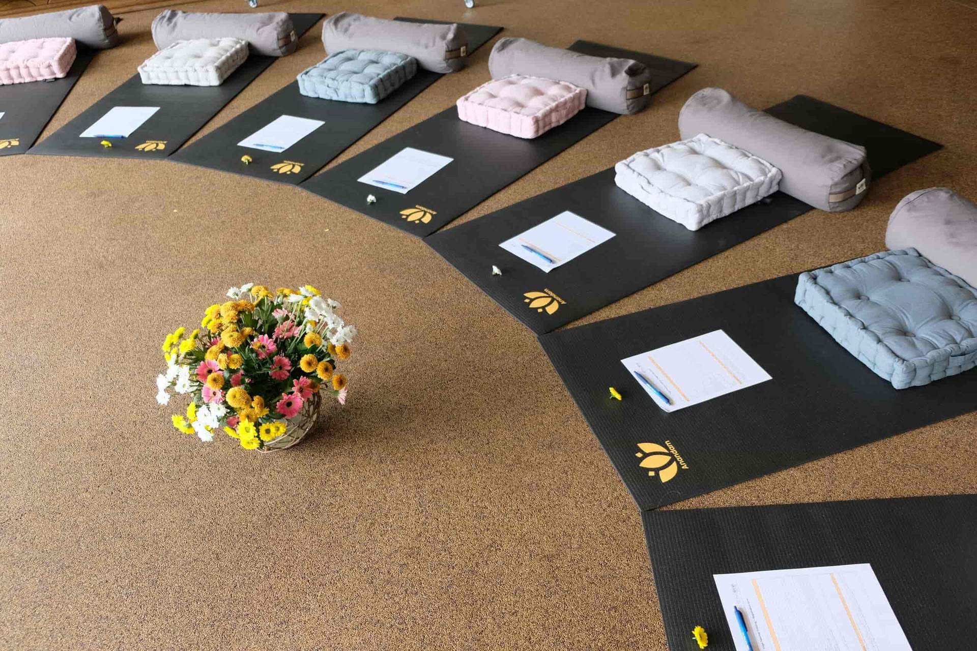 Formation de professeur de yoga de 200 heures en Allemagne
