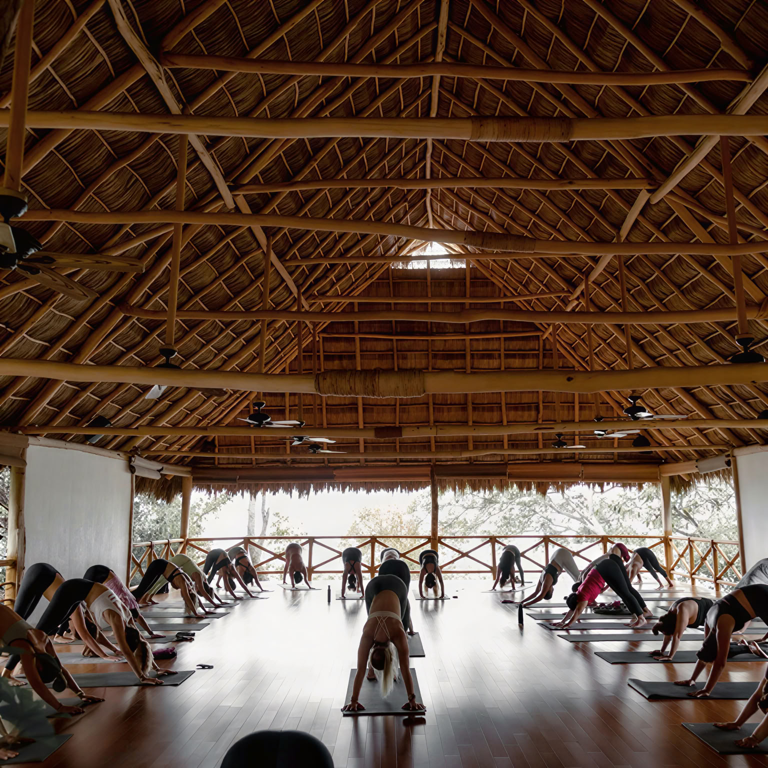 Màs Rocket et Hot Yoga