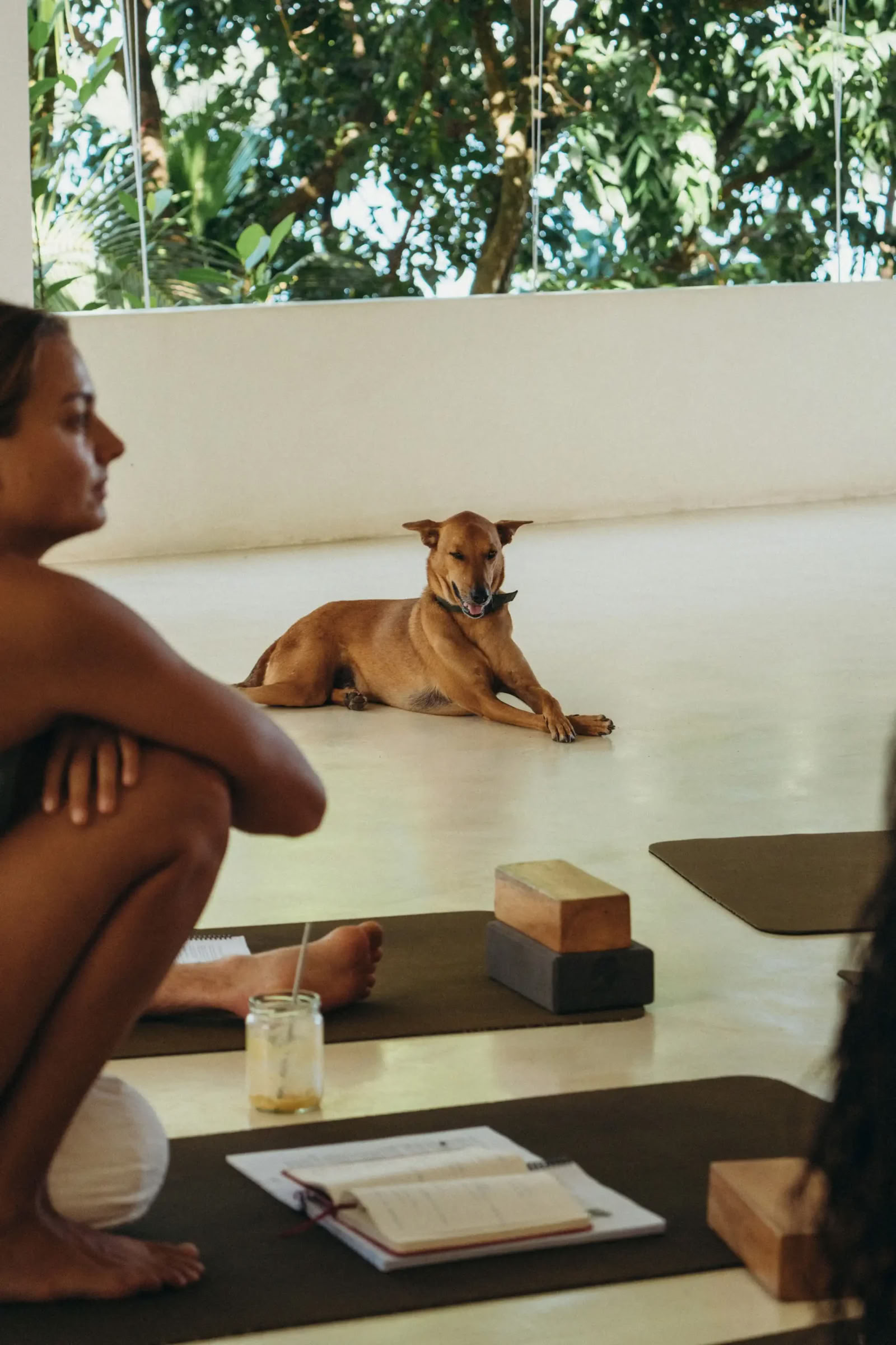 Synergy Vinyasa Yoga Retraite at Lanka Yoga