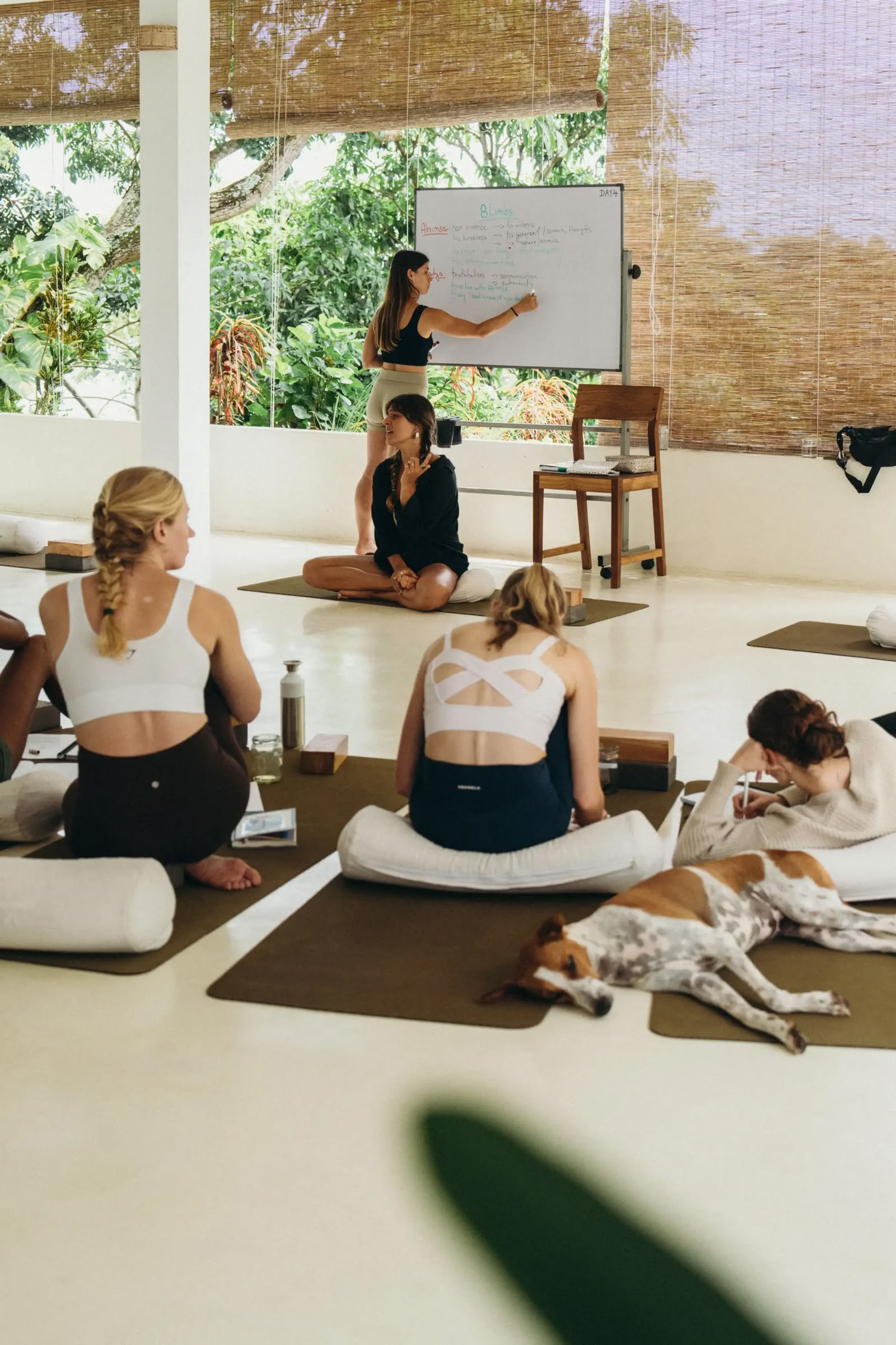 Formation de professeur de Yoga Vinyasa + Yin de 100 heures
