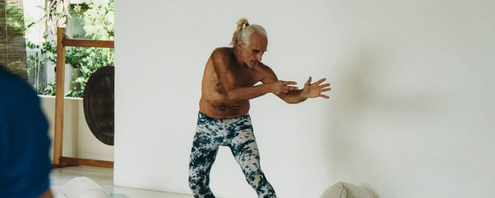 Yoga Synergy Teachers Intensive avec Simon Borg-Olivier