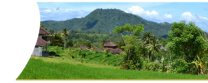Semaine de guérison à Bali