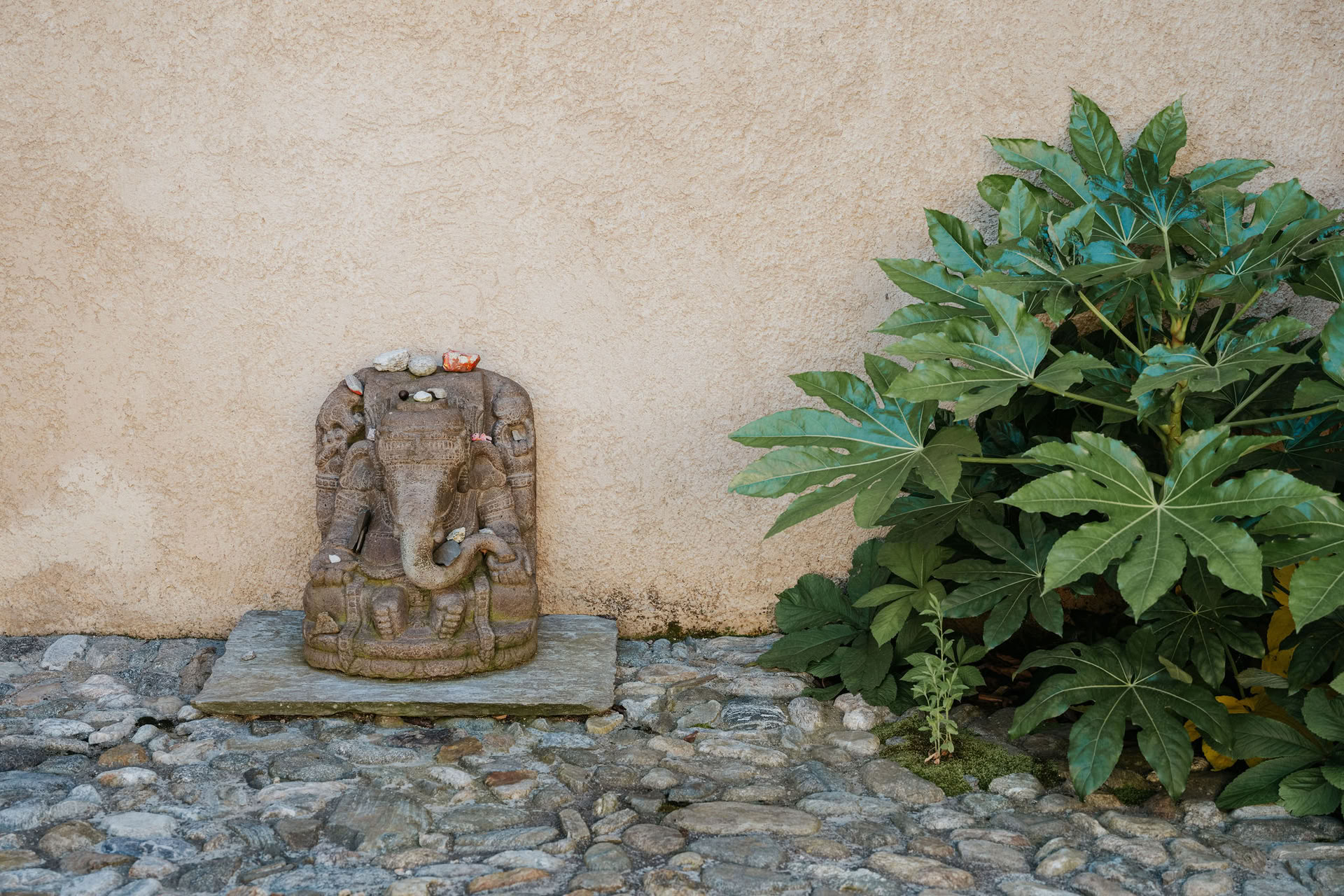Retraite de calme intérieur de Yin Yoga