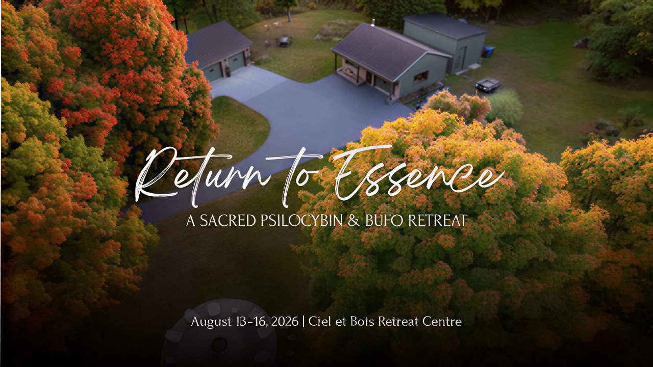 Return to Essence ~ Une retraite sacrée au psilocybine et au Bufo
