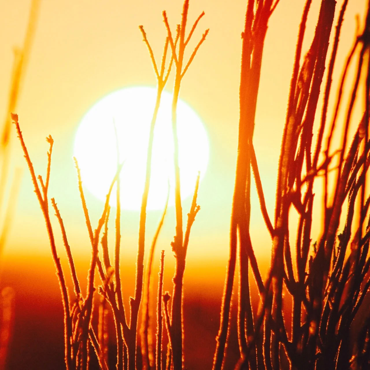 Célébration du solstice d'été - Wrexham