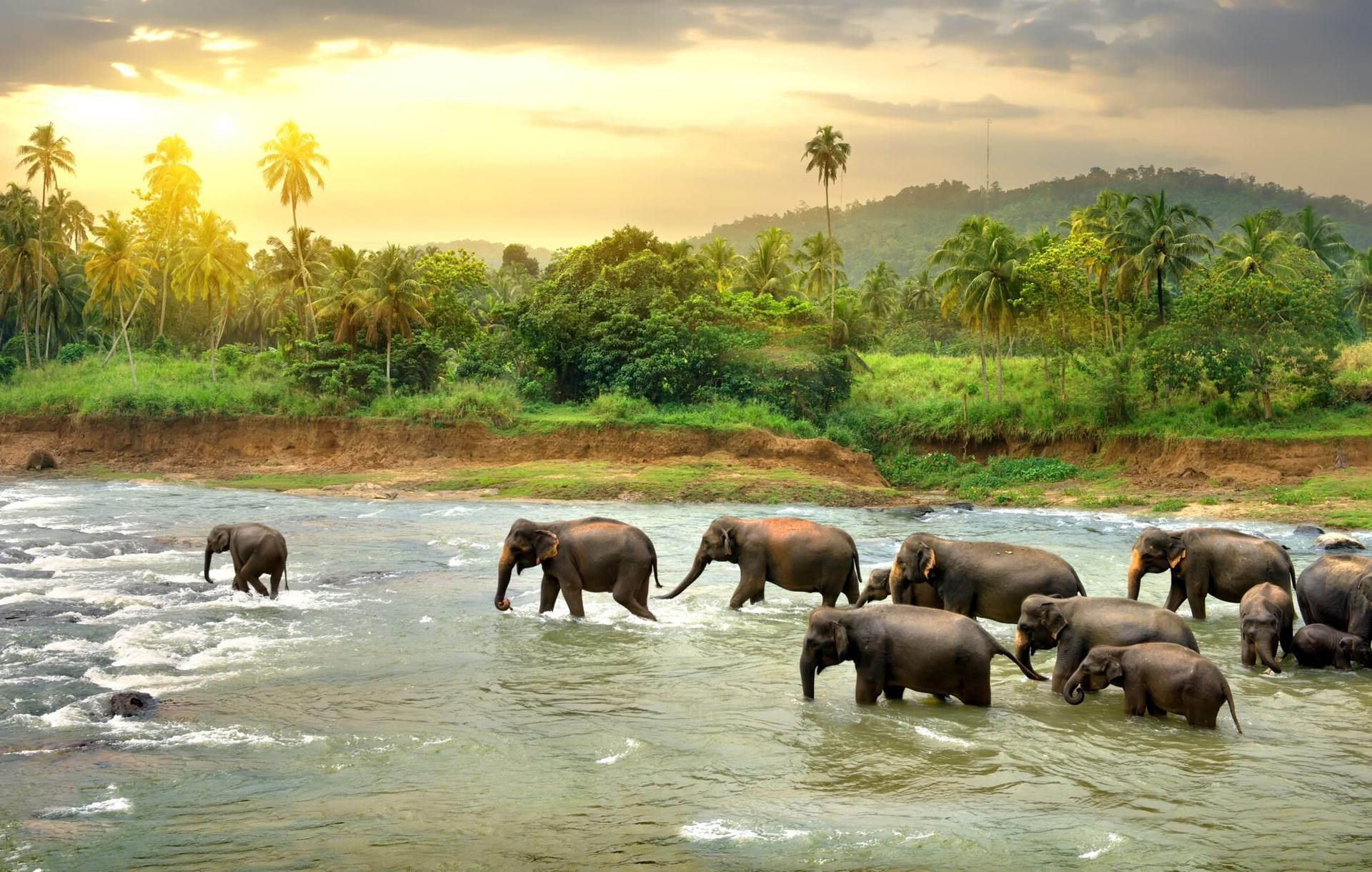 Tranquil Trails : bonheur au Sri Lanka en 7 jours ! Yoga, Méditation, Culture, Nature