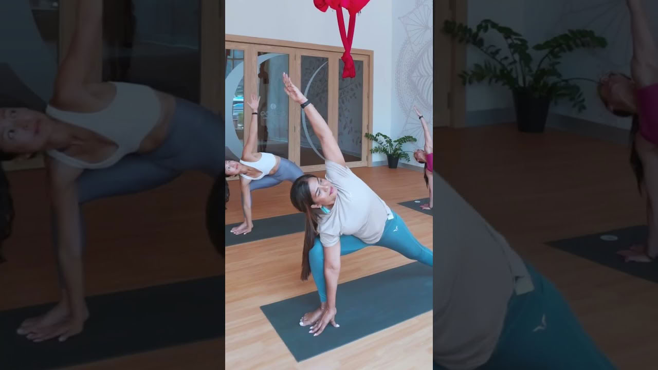 Cours avancé d’alignement en yoga de 50 heures (YACEP)
